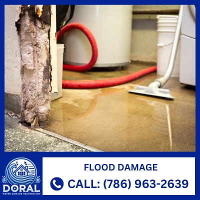 flood damage cleanup