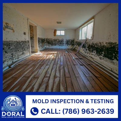 inspection & testing for mold