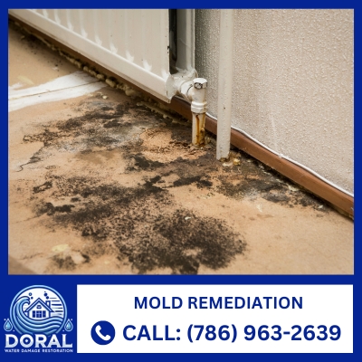 mold remediation