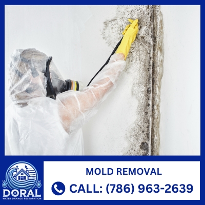 mold removal services