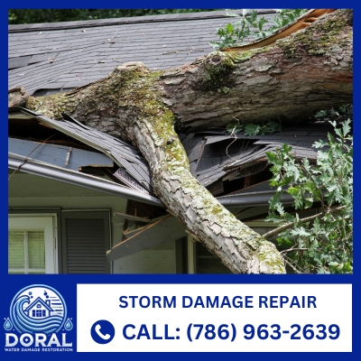 storm damage repair