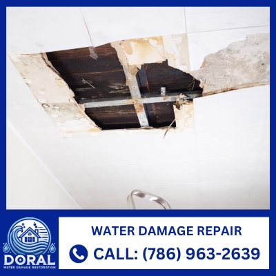 Water Damage Repair